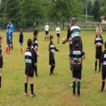 rugby